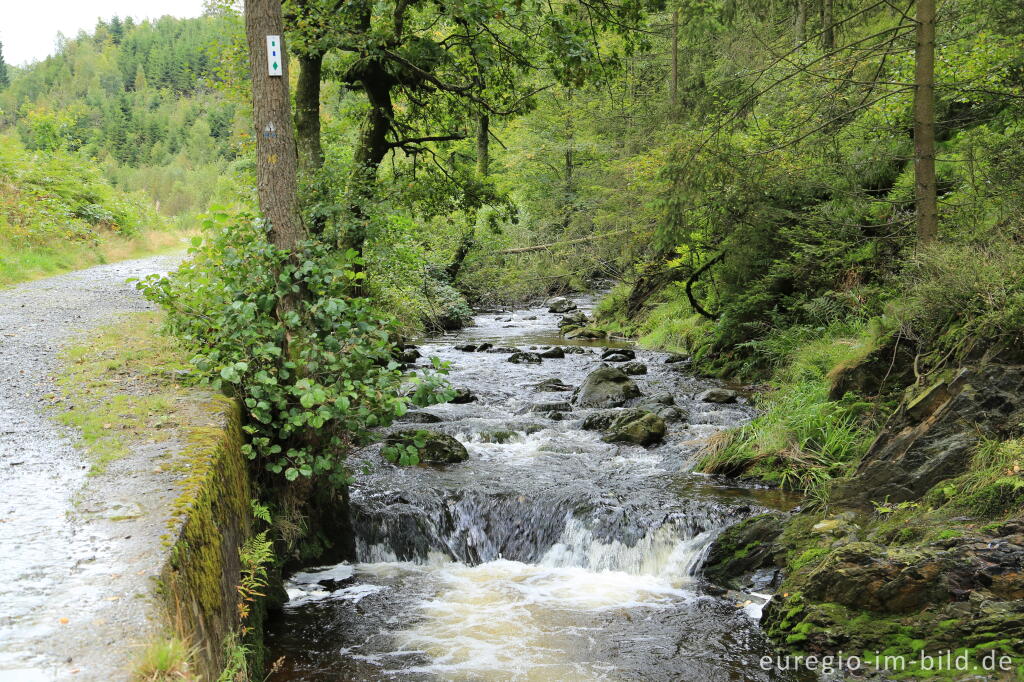 Detailansicht von Weg zum Bayehon Wasserfall