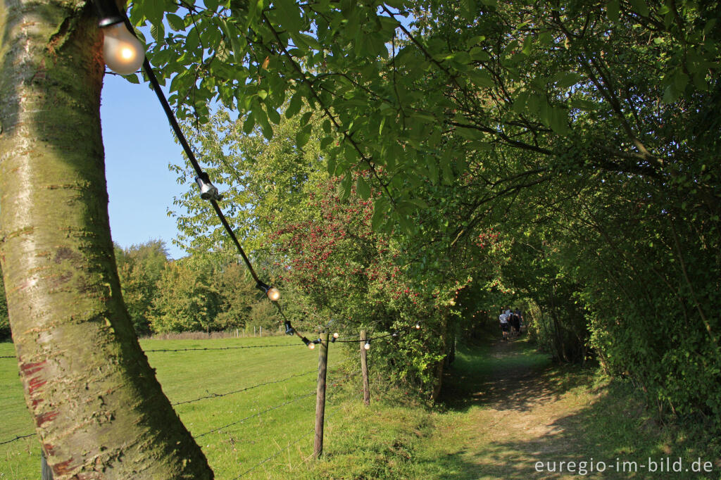 Detailansicht von Weg zum Weinfest in den Weinbergen von Wahlwiller, Südlimburg