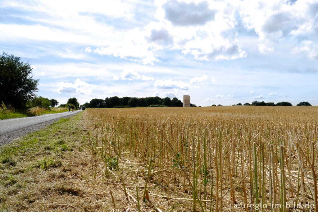 Detailansicht von Weg zur Bruder-Klaus-Kapelle bei Wachendorf