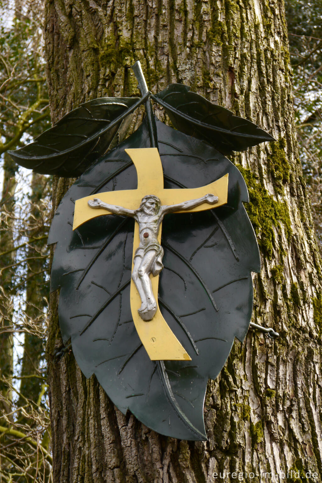 Detailansicht von Wegekreuz an einem Baumstamm in Terziet, Südlimburg, NL