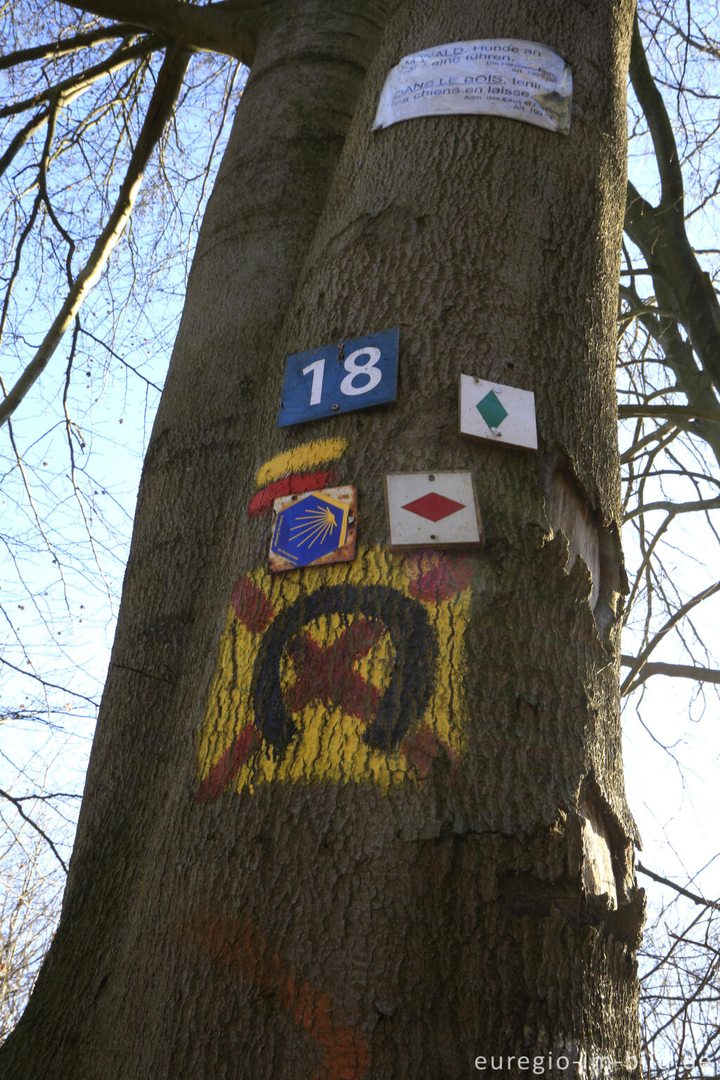 Detailansicht von Wegmarkierung auf dem Moresneter Pilgerweg (Moresneter Bittweg)