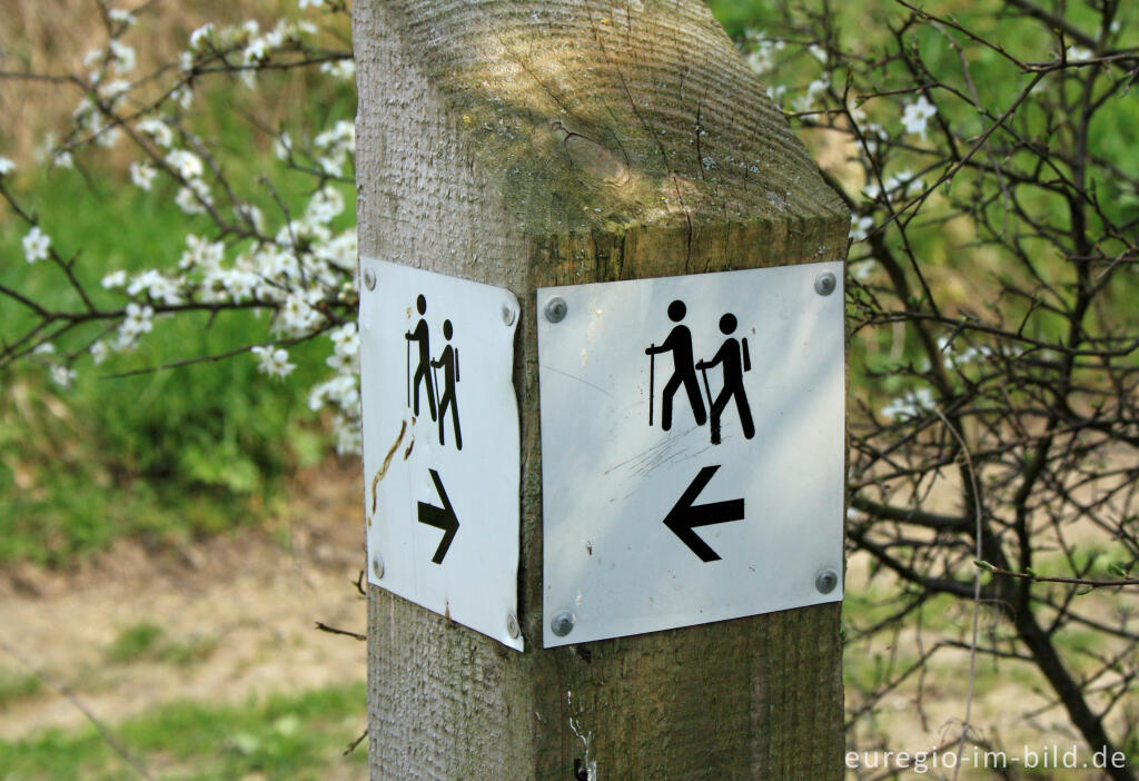 Detailansicht von Wegmarkierung bei Orsbach (Aachen)