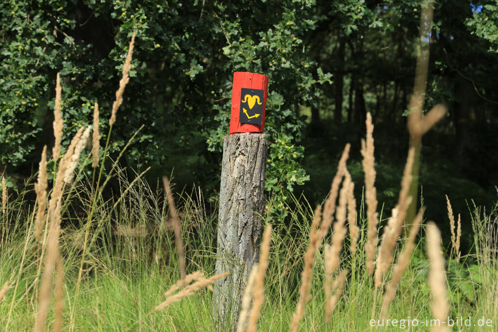 Detailansicht von Wegmarkierung beim Fliegenberg, Wahner Heide