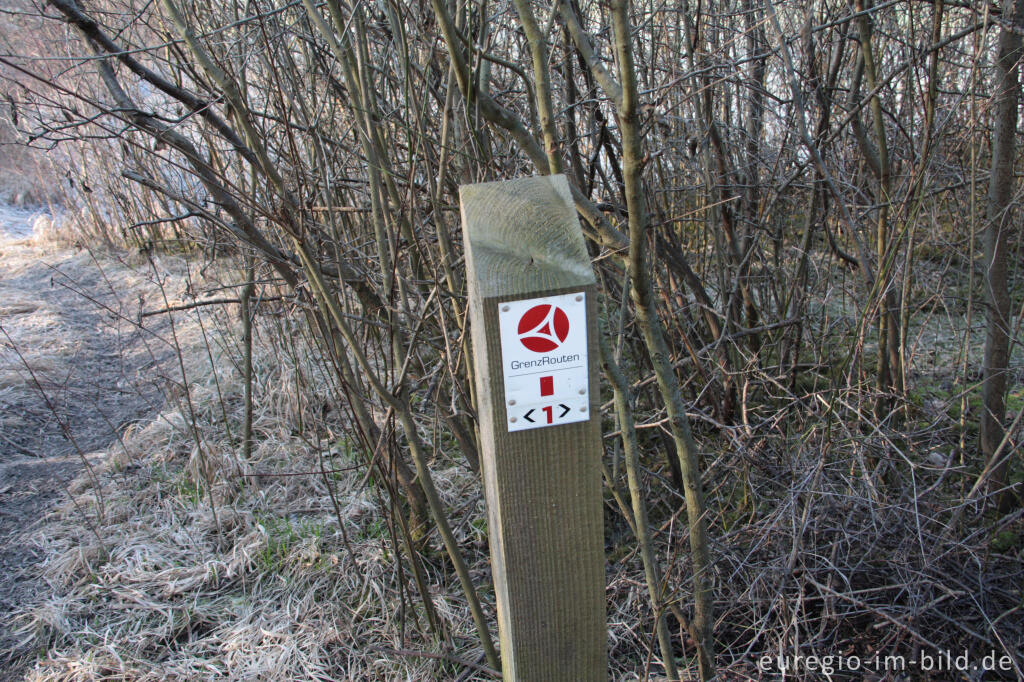 Detailansicht von Wegmarkierung der GrenzRoute 1 auf dem Schneeberg