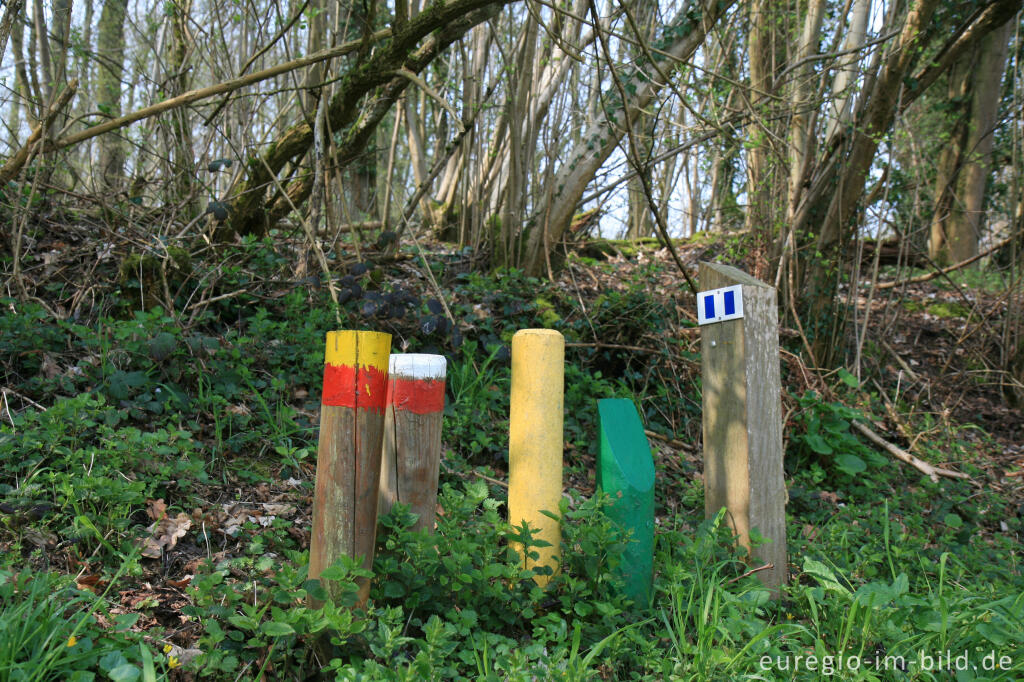 Detailansicht von Wegmarkierung im Naturpark Ingendael, Geultal bei Valkenburg