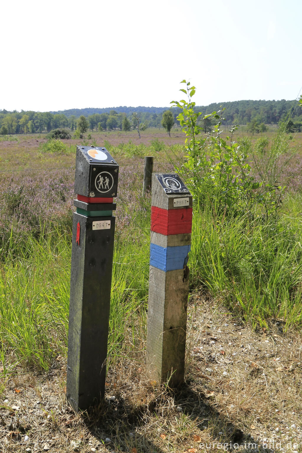 Wegmarkierung in der Brunssumerheide