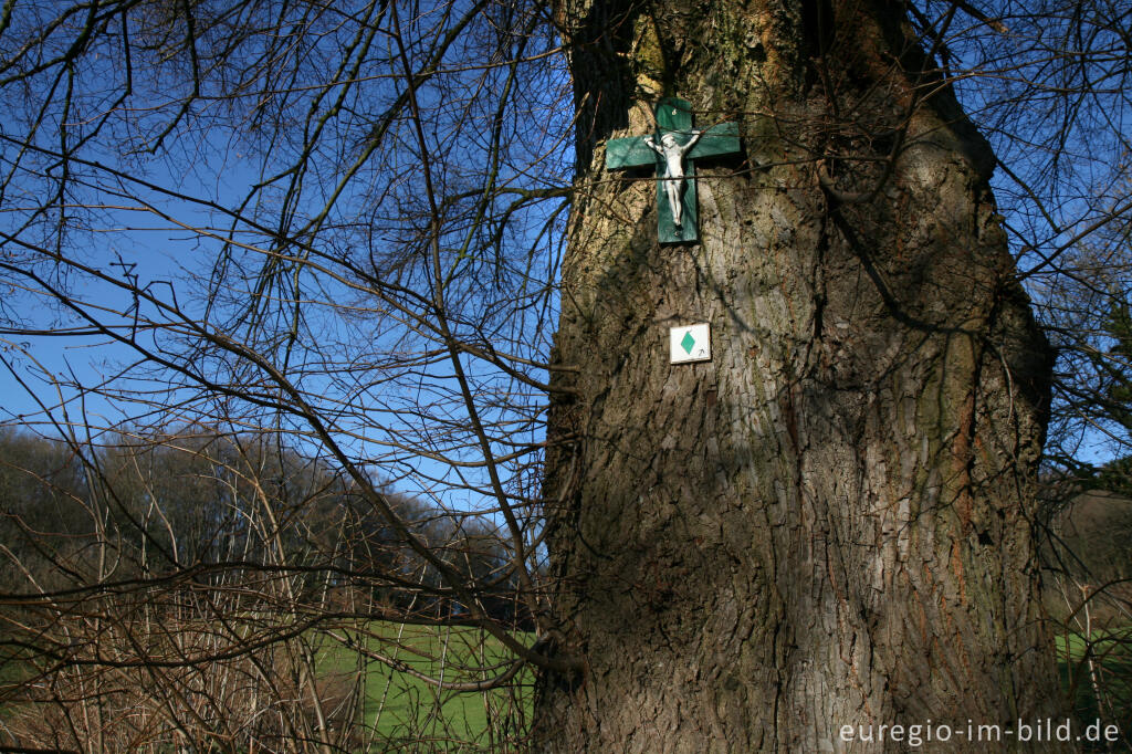 Wegmarkierung mit Andachtskreuz beim Schimperbos