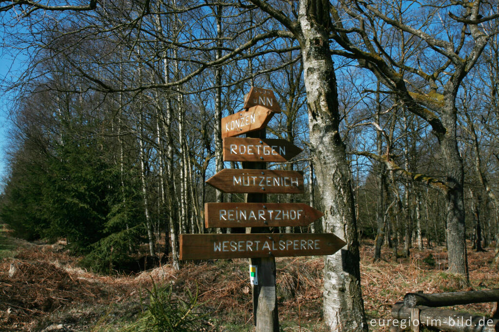 Detailansicht von Wegweiser am Rand des Steinley - Venns