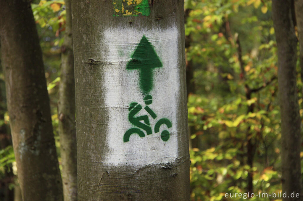 Detailansicht von Wegweiser auf dem VulkanBike Trailpark, Vulkaneifel