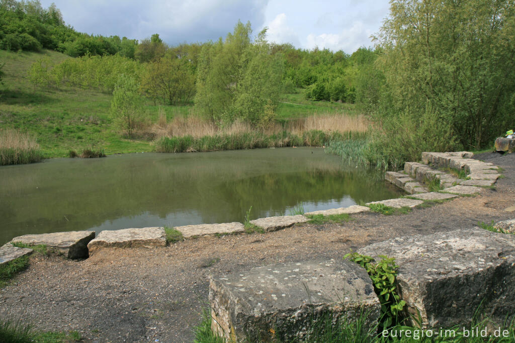 Detailansicht von Weiher am Fuß der Bergehalde Wilsberg