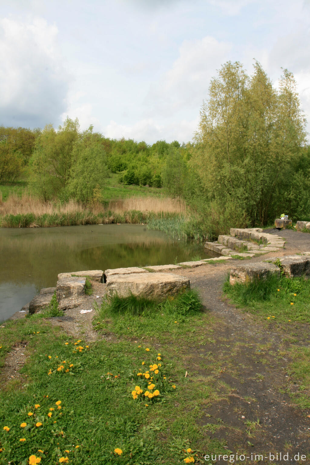 Detailansicht von Weiher am Fuß der Bergehalde Wilsberg