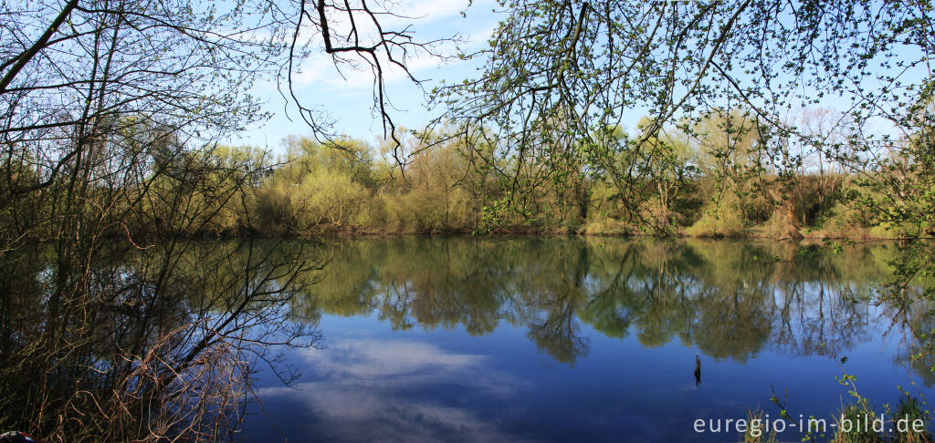 Detailansicht von Weiher im Wurmtal nördlich von Herzogenrath