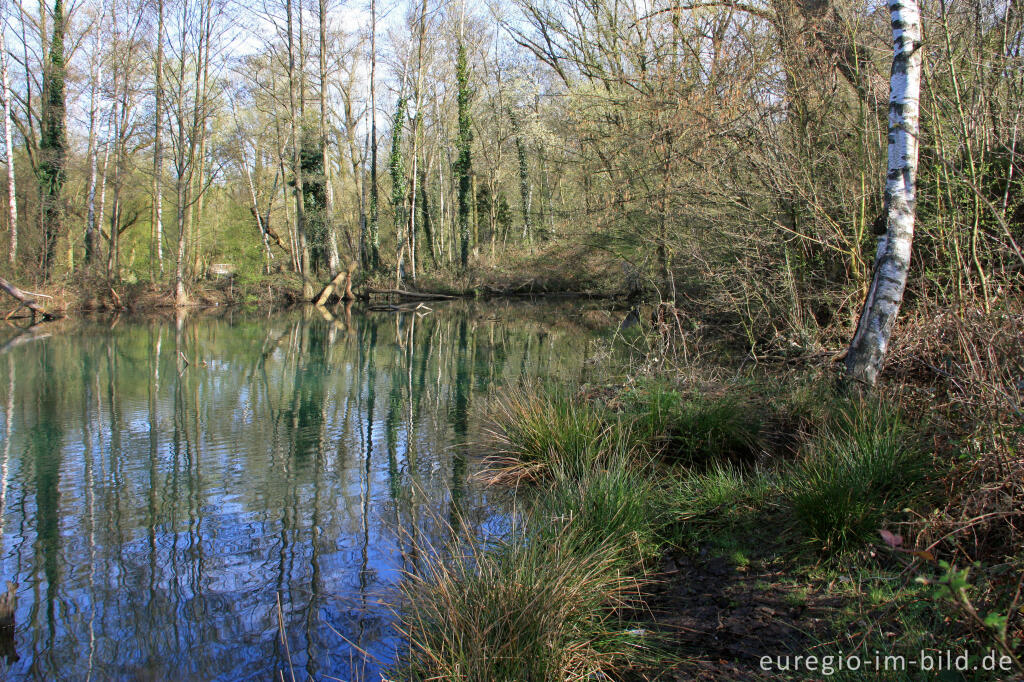 Detailansicht von Weiher im Wurmtal nördlich von Herzogenrath