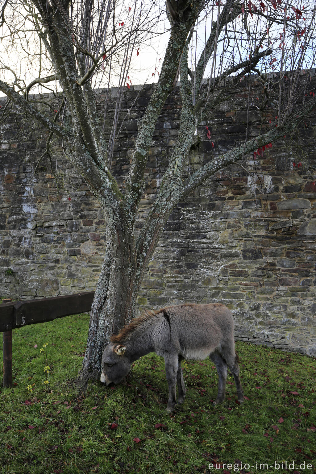 Detailansicht von Weihnachtsmarkt in Reifferscheid, Gemeinde Hellenthal