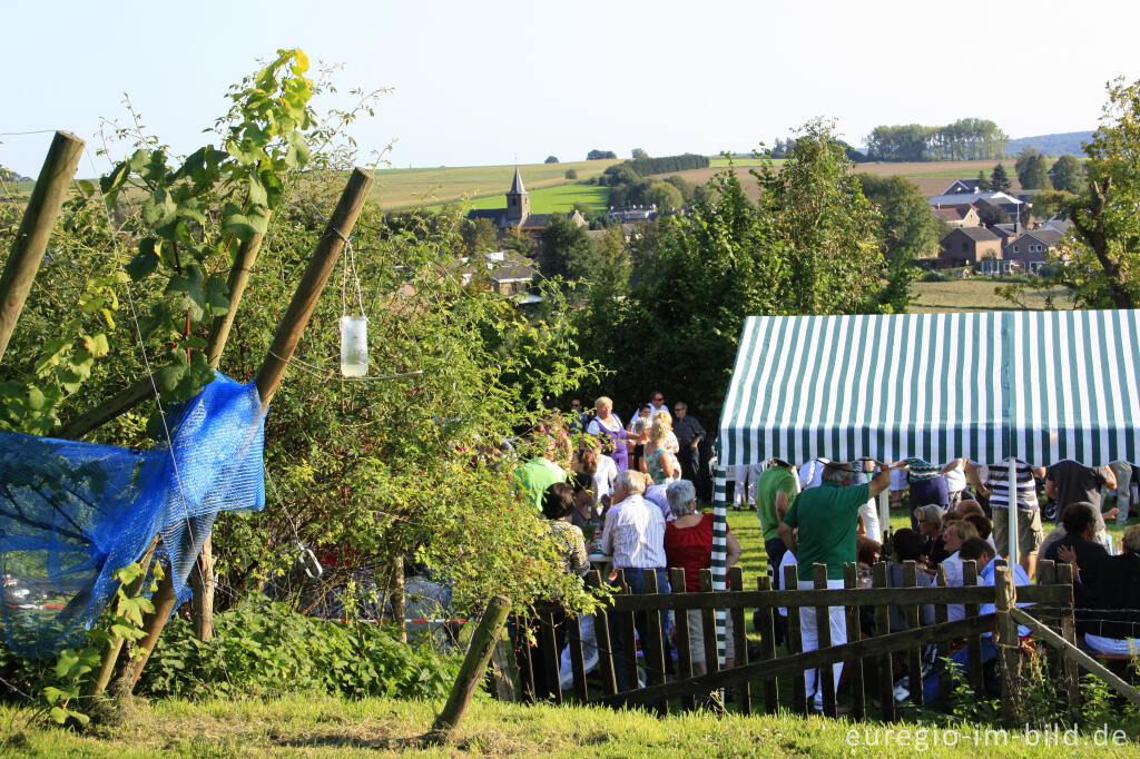 Detailansicht von Weinfest in den Weinbergen von Wahlwiller, Südlimburg