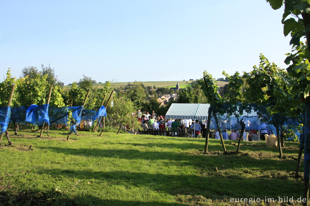 Detailansicht von Weinfest in den Weinbergen von Wahlwiller, Südlimburg