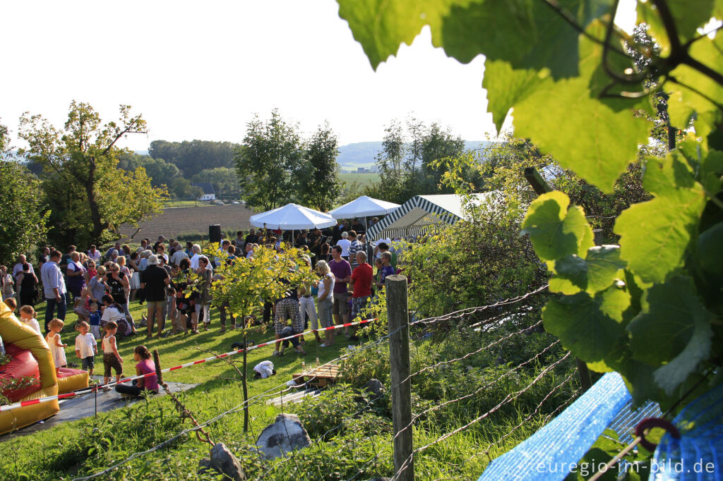 Detailansicht von Weinfest in den Weinbergen von Wahlwiller, Südlimburg