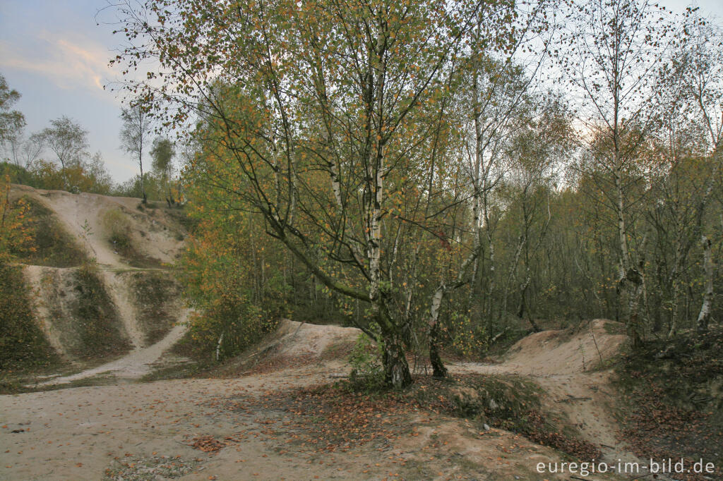 Detailansicht von Weiße Kalkberge im Wurmtal bei Würselen