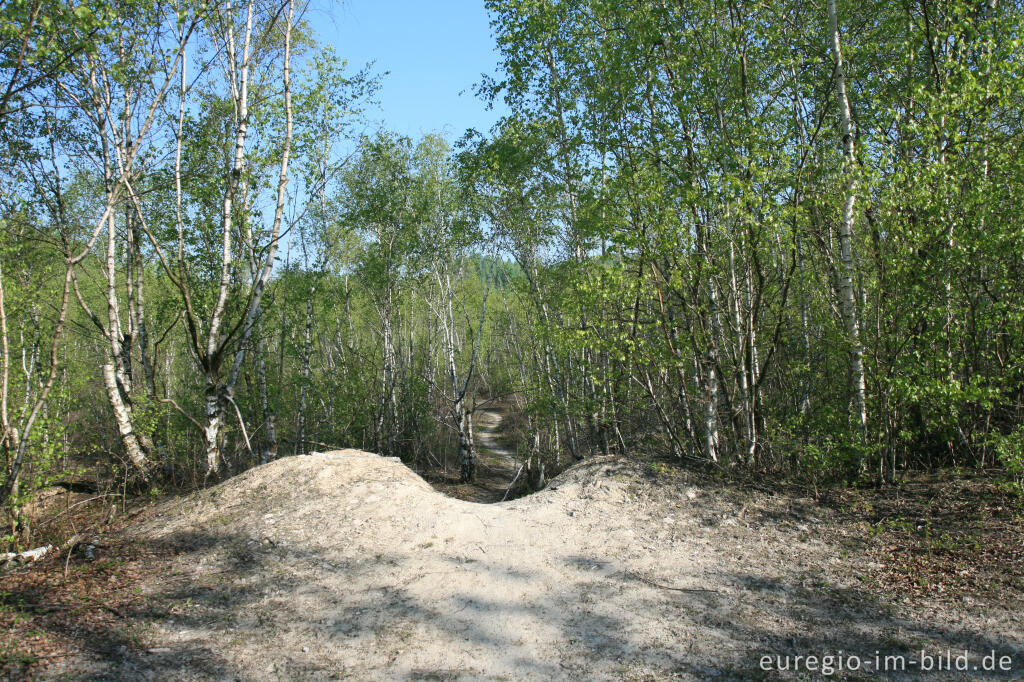 Detailansicht von Weiße Kalkhalde im Wurmtal