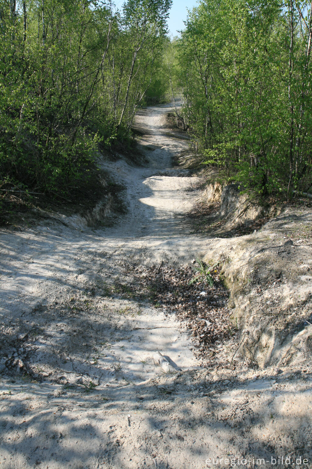 Detailansicht von Weiße Kalkhalde im Wurmtal