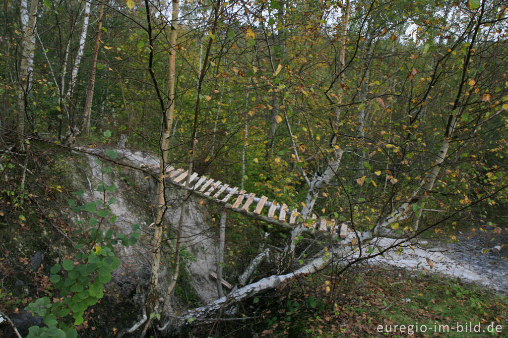 Detailansicht von Weiße Kalkhalde im Wurmtal bei Würselen mit fragiler Brücke