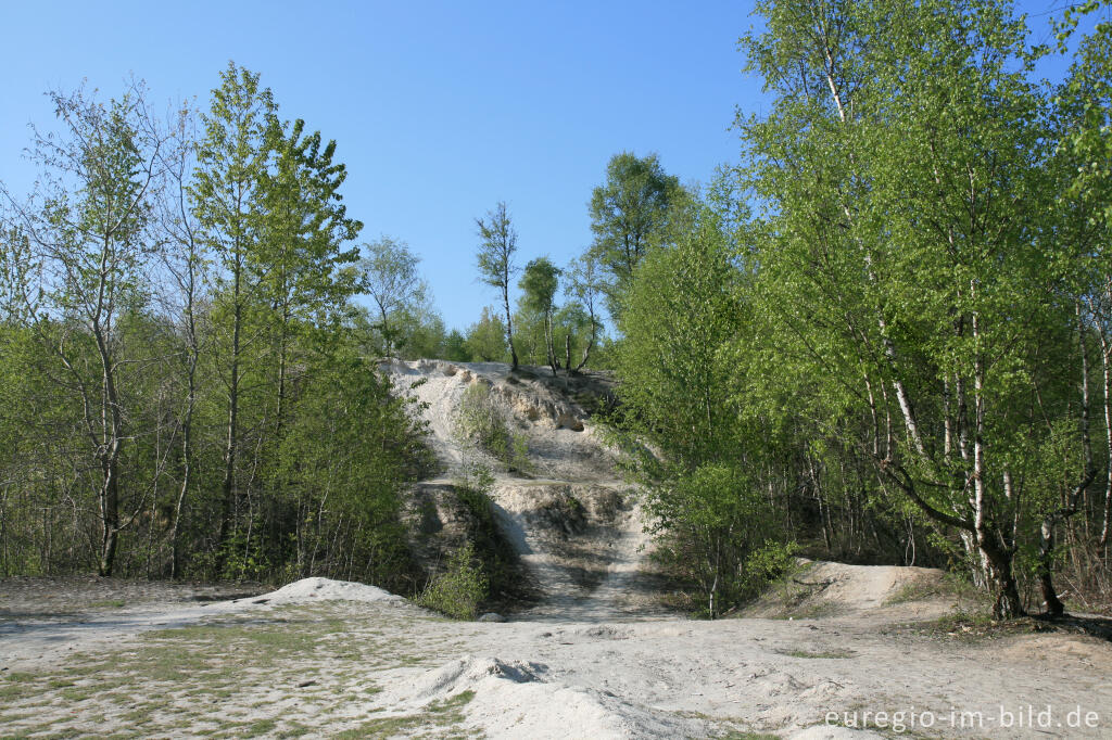 Detailansicht von Weiße Kalkhalde im Wurmtal