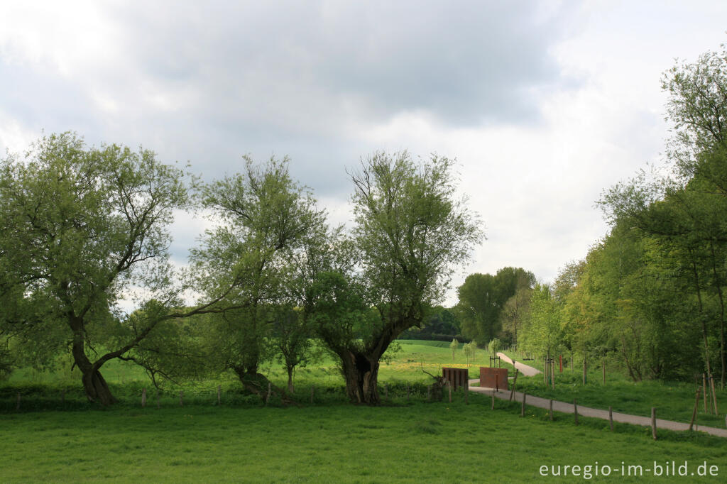 Detailansicht von Weißer Weg bei der Bergehalde Wilsberg