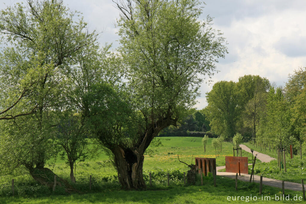 Detailansicht von Weißer Weg bei der Bergehalde Wilsberg