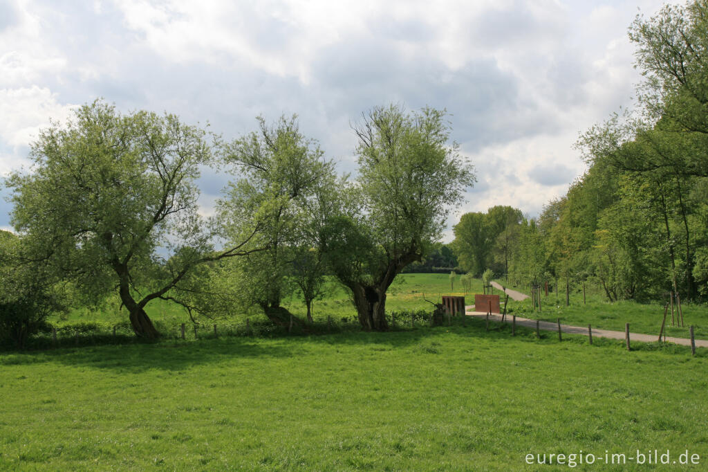 Weißer Weg bei der Bergehalde Wilsberg