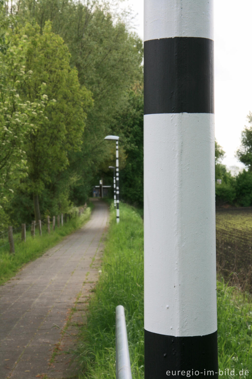 Detailansicht von Weißer Weg, Wegmarkierung bei Ürsfeld