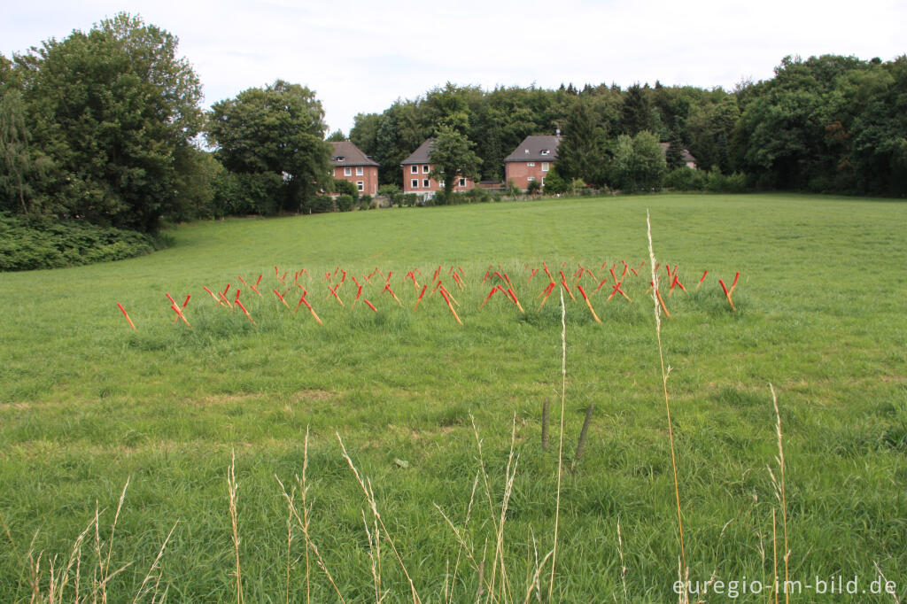 Detailansicht von Werner Henkel: "Schonung", Grenzkunstroute 2011 beim Grenzübergang Aachen-Köpfchen