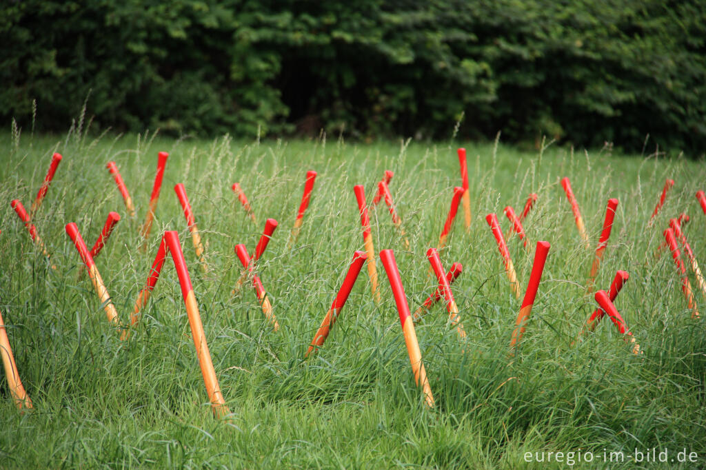 Detailansicht von Werner Henkel: "Schonung", Grenzkunstroute 2011 beim Grenzübergang Aachen-Köpfchen