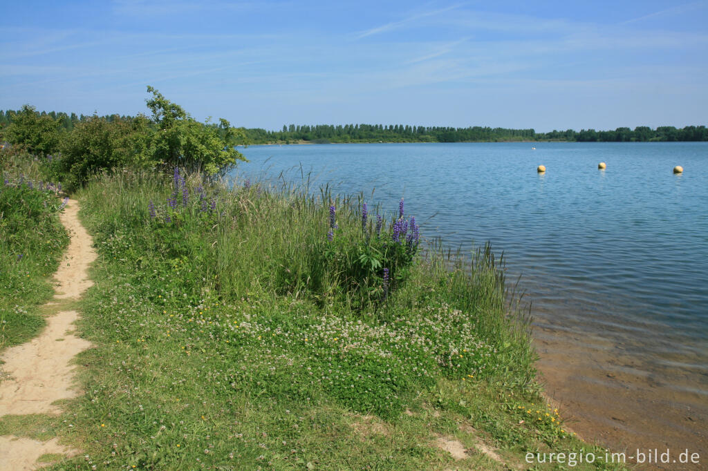 Detailansicht von Westufer des Blausteinsees