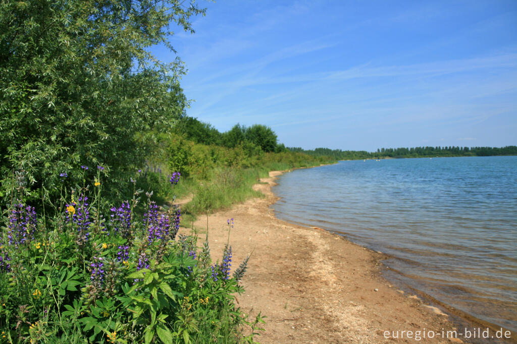 Detailansicht von Westufer des Blausteinsees