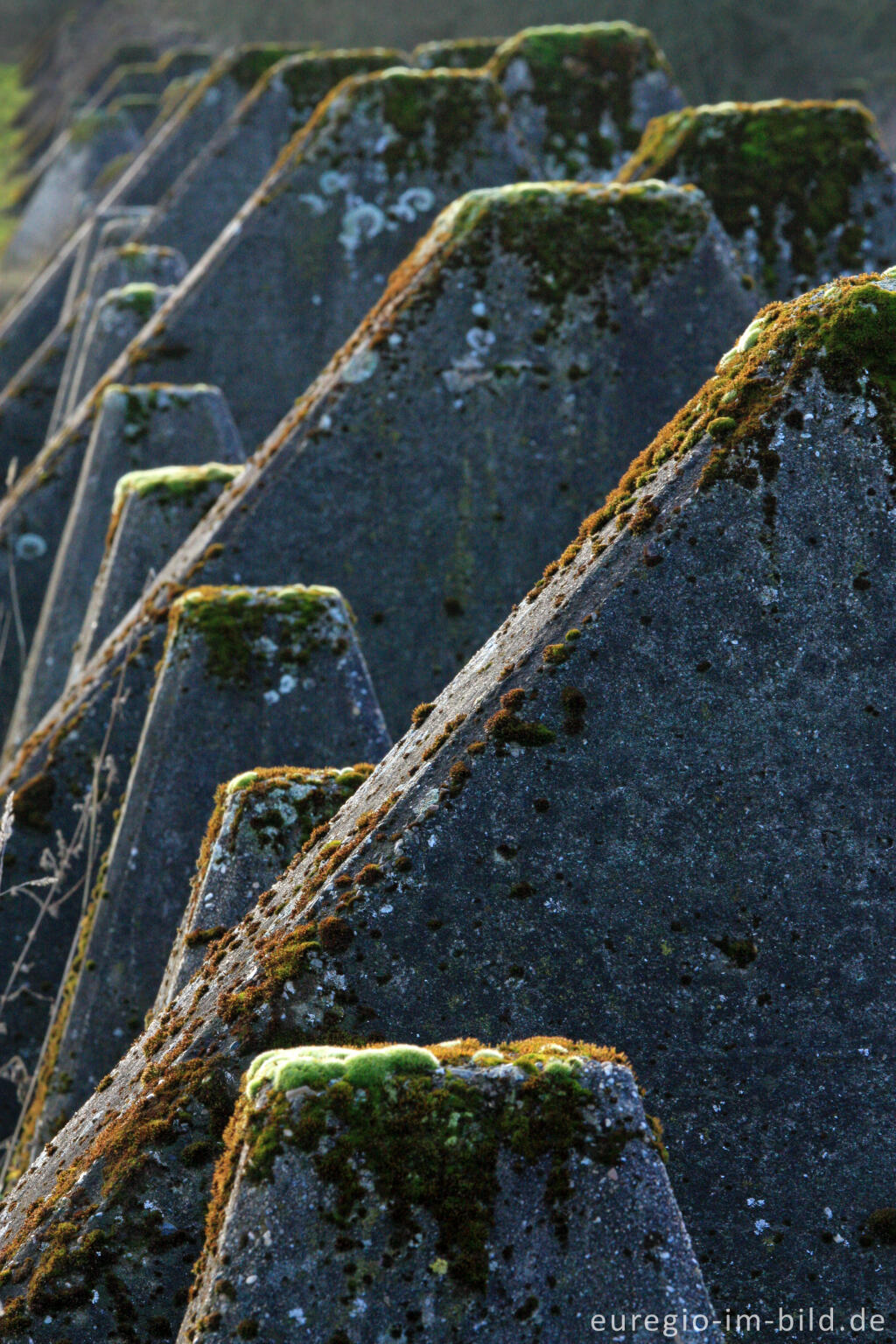 Detailansicht von Westwall bei Aachen-Schmithof