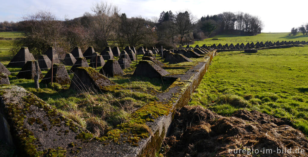 Detailansicht von Westwall bei Aachen-Schmithof