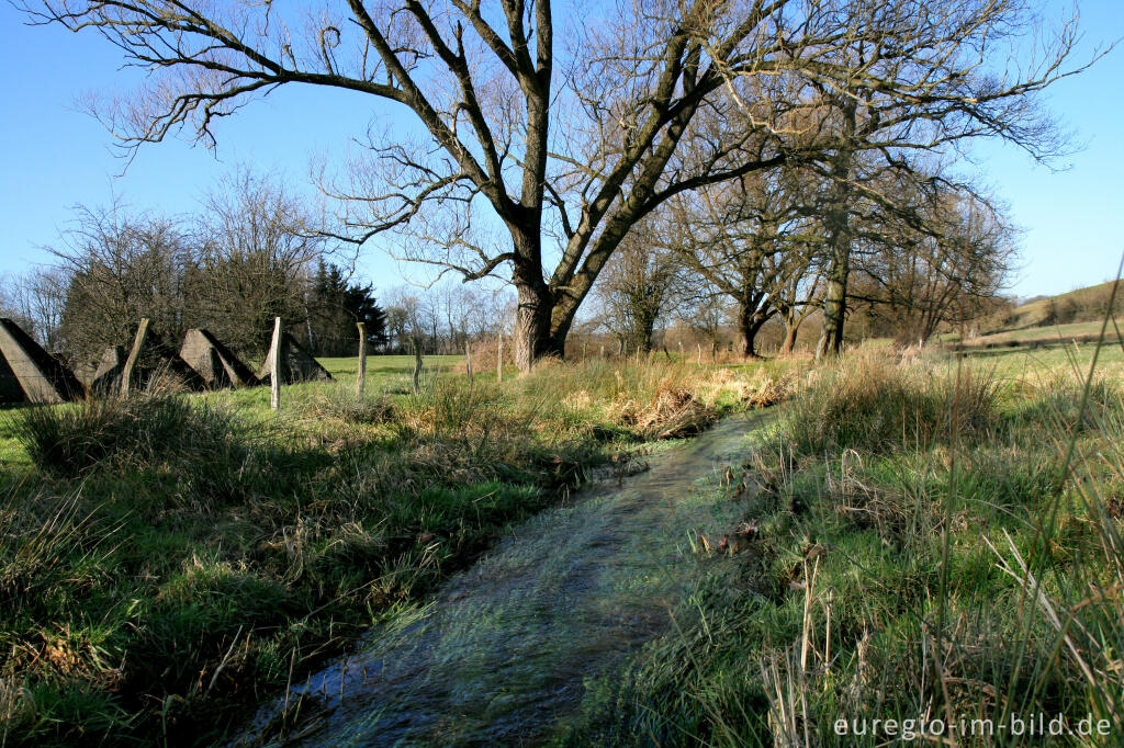 Detailansicht von Westwall bei Aachen-Schmithof mit Iterbach