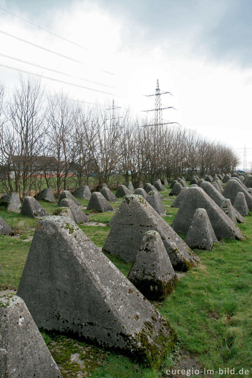 Detailansicht von Westwall bei Herzogenrath-Bank