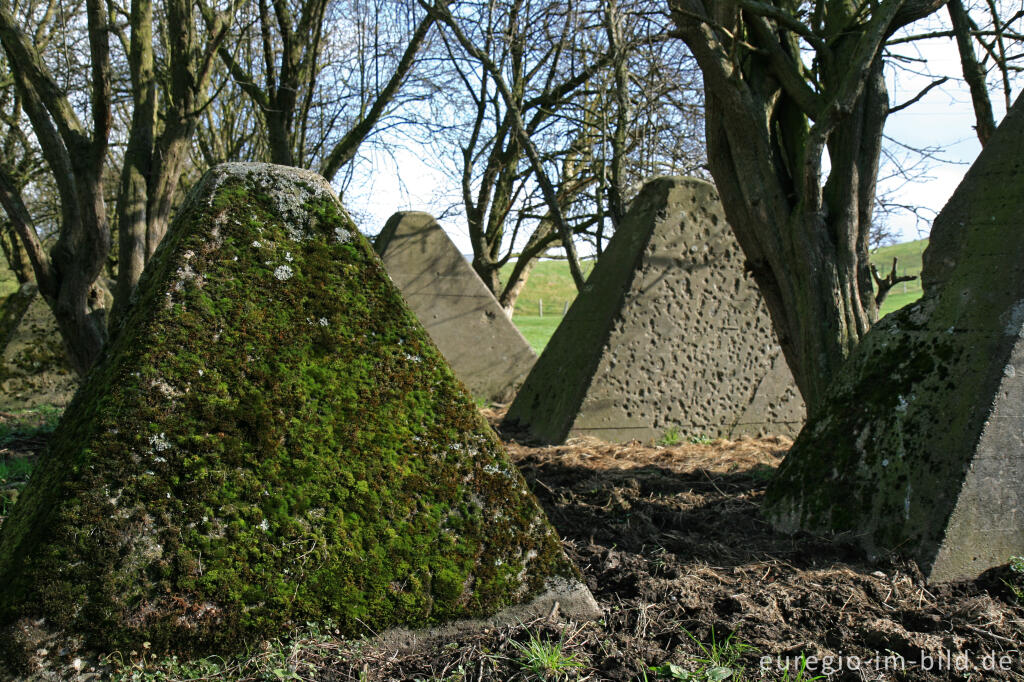 Detailansicht von Westwall bei Herzogenrath-Bank