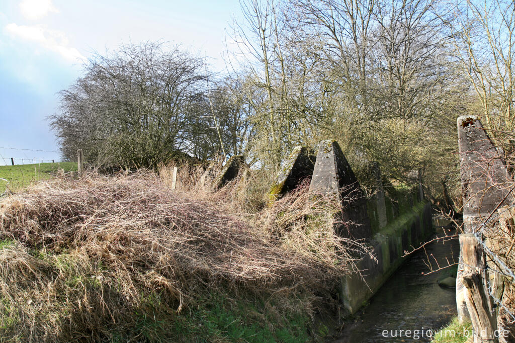 Detailansicht von Westwall bei Herzogenrath-Bank mit Amstelbach