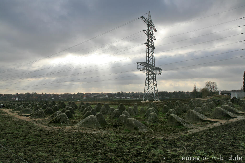 Detailansicht von Westwall bei Herzogenrath-Klinkheide