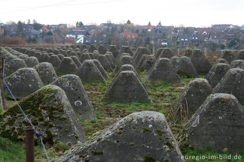 Detailansicht von Westwall bei Herzogenrath-Klinkheide