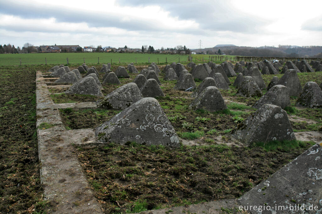 Detailansicht von Westwall bei Herzogenrath-Klinkheide mit Blick auf Herzogenrath-Straß