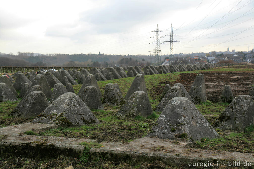 Detailansicht von Westwall bei Herzogenrath-Klinkheide