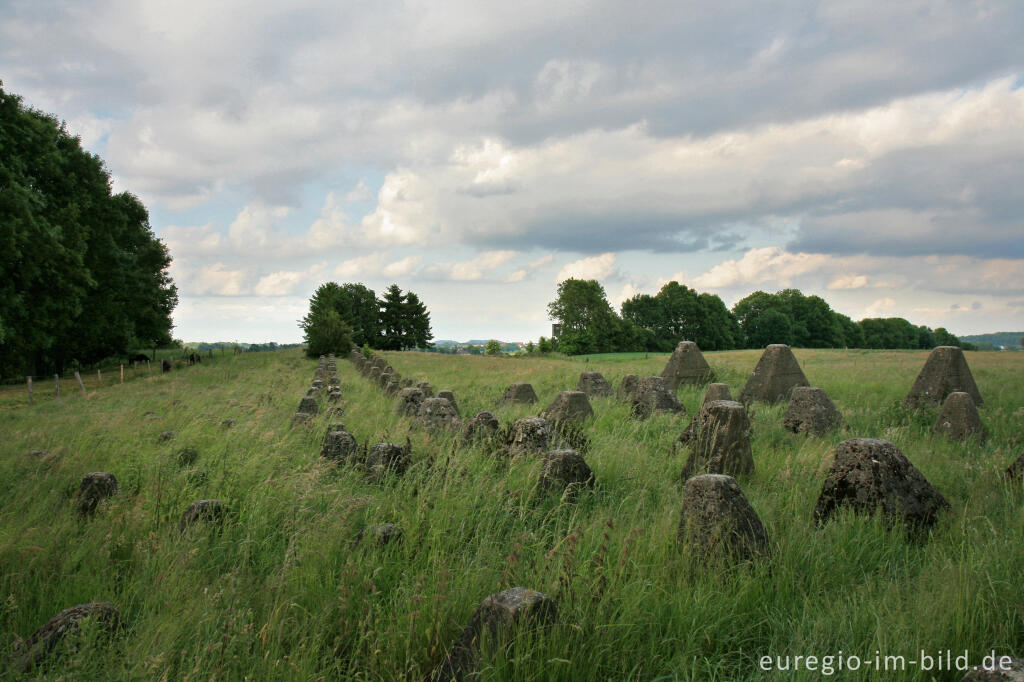 Detailansicht von Westwall bei Horbach