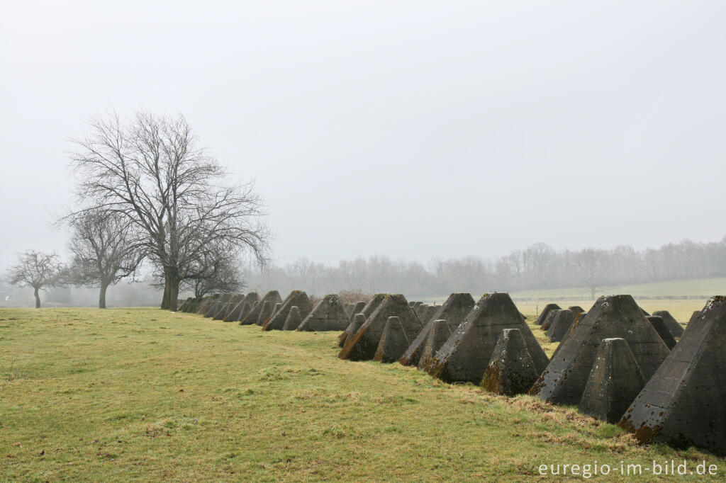 Detailansicht von Westwall bei Schmithof, südlich von Aachen