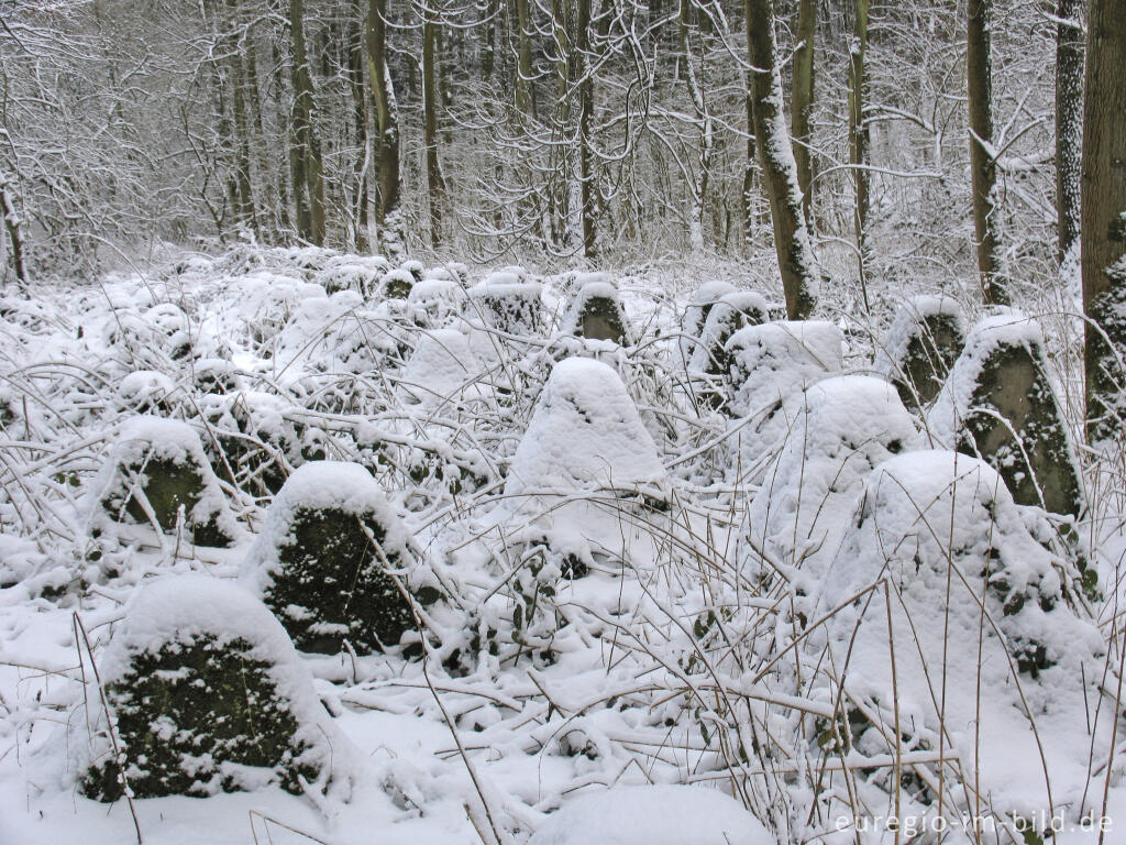 Detailansicht von Westwall im Wurmtal bei Herzogenrath-Klinkheide