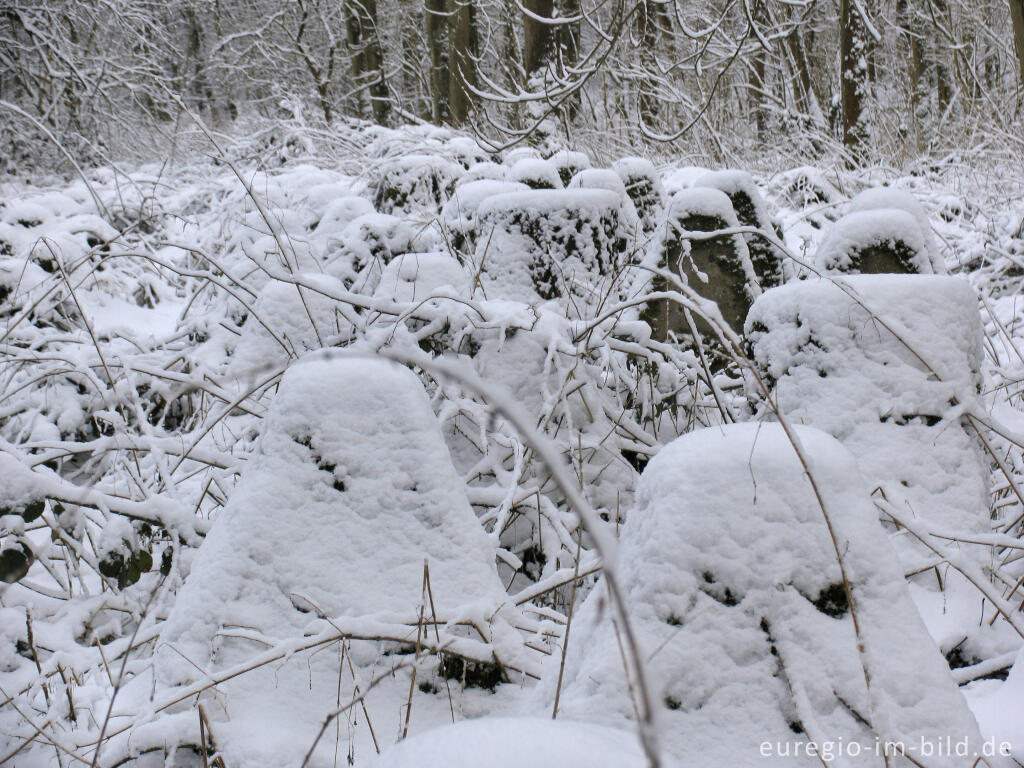 Detailansicht von Westwall im Wurmtal bei Herzogenrath-Klinkheide