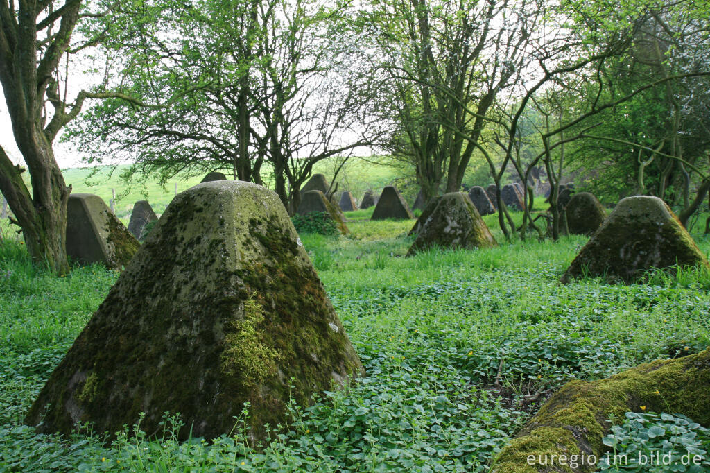 Detailansicht von Westwall, in der Nähe des Weißen Wegs, Horbacher Börde