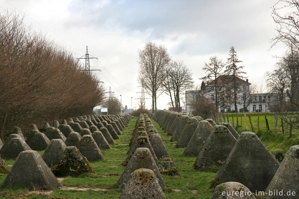 Detailansicht von Westwall zwischen Herzogenrath-Bank und Pannesheide